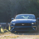 Illustration for article titled The 2018 Ford Mustang GT Performance Pack 2 Drives Like the Sports Car It Has Become